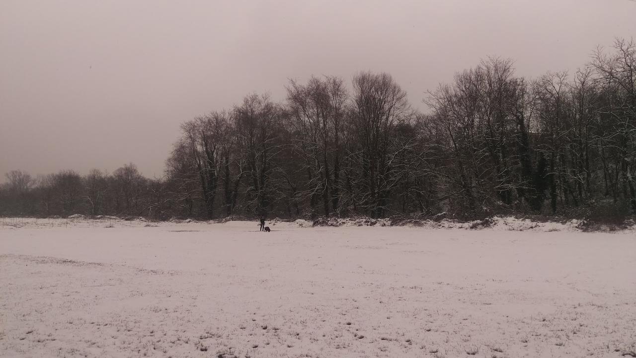 Appartamento Del Parco